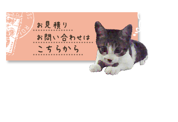 シスターズお問い合わせ
